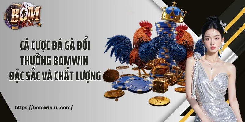 Cá cược đá gà đổi thưởng Bomwin đặc sắc và chất lượng
