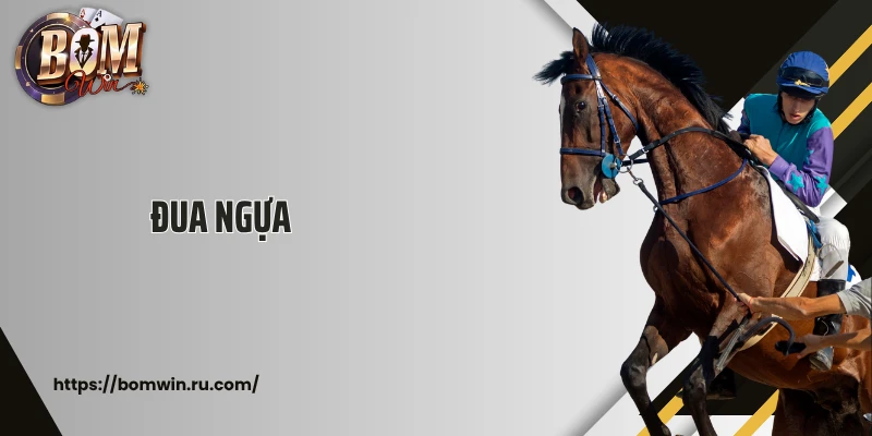  Cá Cược Đua Ngựa Tại Bomwin Dành Cho Người Đam Mê Tốc Độ