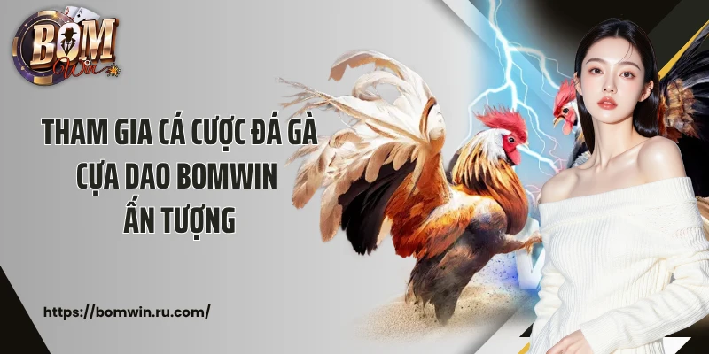 Tham gia cá cược đá gà cựa dao Bomwin ấn tượng