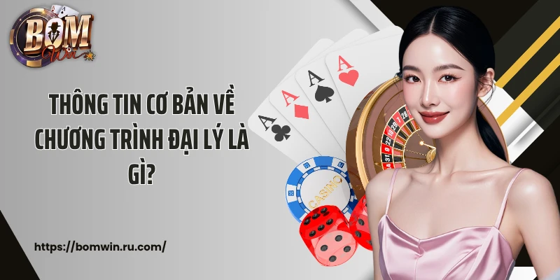 Thông tin cơ bản về chương trình đại lý là gì?