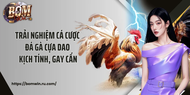Trải nghiệm cá cược đá gà cựa dao kịch tính, gay cấn