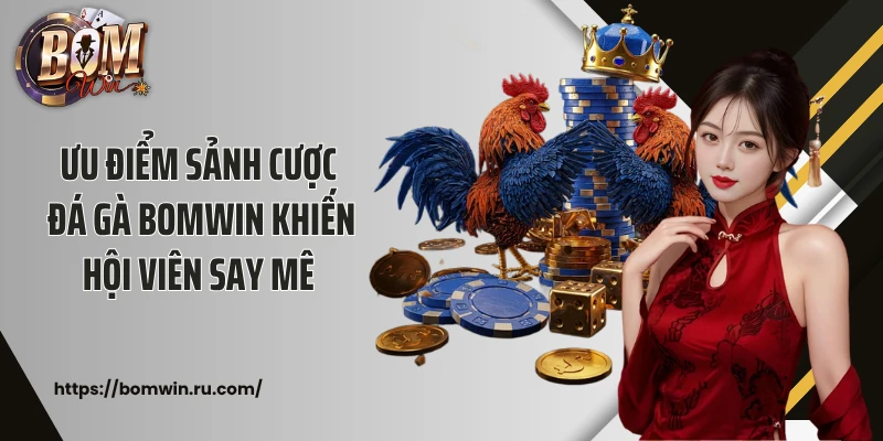 Ưu điểm sảnh cược đá gà Bomwin khiến hội viên say mê